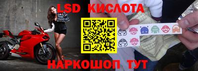 прущие крисы Краснодар