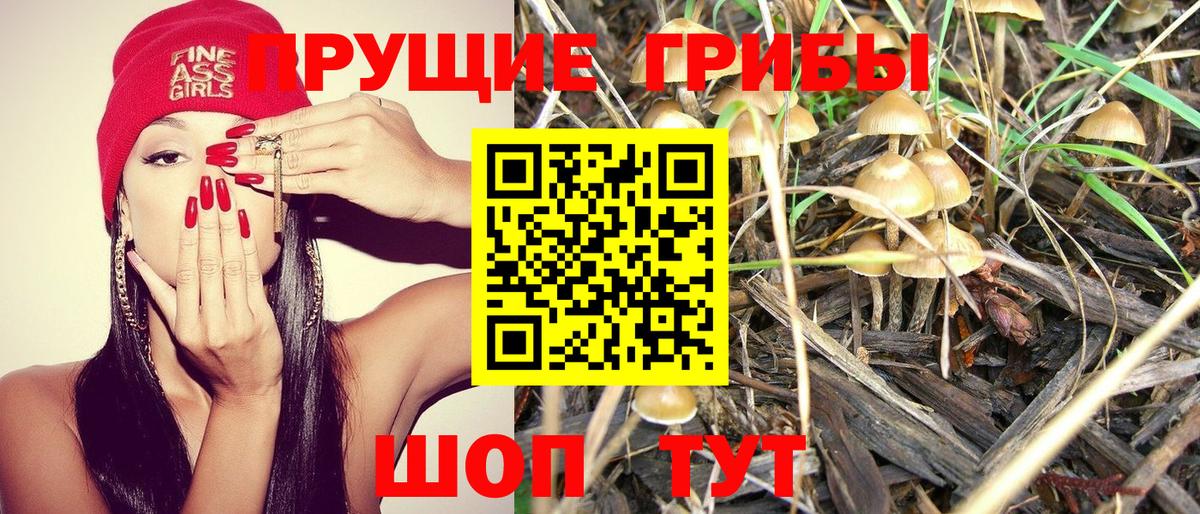 Галлюциногенные грибы Cubensis Коломна